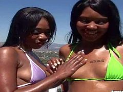 Attractive amateur black babes with smoking hot bodies in bikinis get nasty and enjoy teasing with their oiled firm buns in amazing ass parade action filmed in point of view