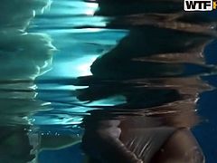 Group of horny young folks make out in the pool of sauna. Voracious sluts give a head to kinky dicks in front of each other in steamy group sex clip by WTF Pass.