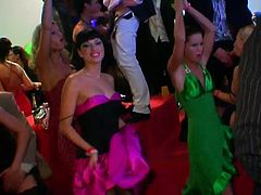 A lot of drunk and hussy chicks go wild on the dance floor. They suck and fuck like crazy. enjoy them all for free in exclusive Tainster porn tube video.