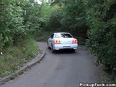 Sex greedy dude picks up a fuckable brunette milf on the roadside. As soon as she gets into the car, she inclines to oral fuck his cock in order to thank for a ride.