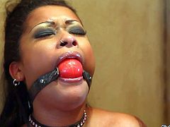 Skin Diamond is a dark skinned hot chick with small tits. Ball gagged ebony girl in black boobs plays with hitachi wand by the mirror. She parts her legs and masturbates with her vibrator.