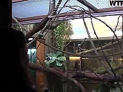 Brunette gets face fucked good by hot fuck buddy