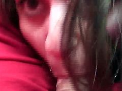 Pale slender brunette smiles seductively. She unzips her BF's pants and starts sucking his tasty lollicock right in the car on their way home. Just don't pass by this incredibly hot Fun Movies sex clip to jerk off and jizz at once.