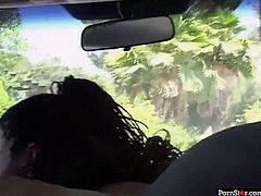 Slutty ebony girls with filthy minds are going naughty in a public park. They suck hard dong right there and then. Later, one of the hooker jumps on a stick in a car.