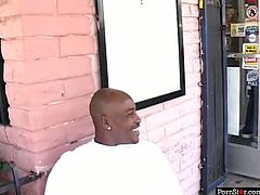 Beefy black dude notices a mesmerizing mulatto cutie in the street. He invites her home where she goes down on her knees to give his long hard dick a steamy blowjob.