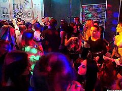 Ultra sexy party babes dancing erotically in a club