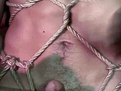 Two guys are going to dominate a submissive dude in this gay BDSM threesome with lots of cock sucking and ass spanking action.