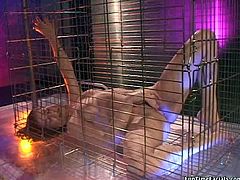 Several dudes fuck one professional whore Mandy Taylor in the cage