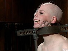 This girl gets shaved by Coral Aorta. After that she gets her tits tortured with mousetraps. In addition she gets gagged with a spider gag.