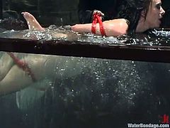 Sexy brunette Maya Matthews is getting naughty with some man in a basement. The dude ties the hottie up and then makes her take a swim in a glass box filled with water.