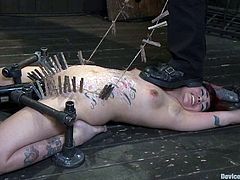 You can also feel how fun it is by watching this BDSM session on our free porn site. Akira Raine is a victim of her own sexual fantasies, as she begged this dude to torture her!