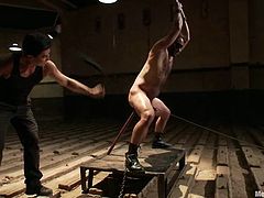 Bearded dude gets tied up and blindfolded by some fag. Later on he gets his dick tortured and ass toyed rough with massive dildo.