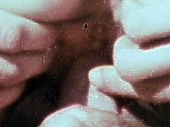 Insolent beauties are having their tight pussies drilled in hot vintage outdoor threesome