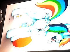 Rainbow Dash 4 twilightcgmsparkle