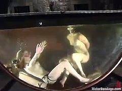 Naked brunette chick sits on a bondage chair. She gets her tits tortured with claws by her mistress. In addition she gets toyed with a strap-on under the water in an aquarium.