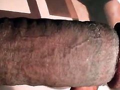 New Tribute to iVixen a