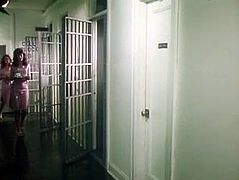 Horny hookers are locker in jail. Those dirty sluts get horny and order one girl to lick their soaking wet hairy pussies.