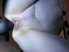 huge black cock on wife pussy