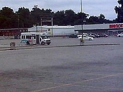 watching bus drivers
