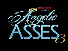 Introducing the new trailer By Devils Film, Angelic Asses 3.
This new trailer shows you the beautys ready to get pounded hard in their ass and deep throat massive cocks!