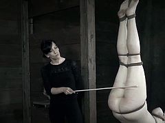 Dixon Mason endures punishments coming from three doms, not just one as it usually happens. They tie her up and suspend her in different ways and whip her hard.