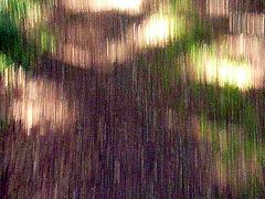 der kleine an der frischen luft