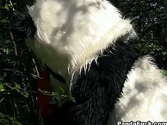 Little Red Riding Hood meets a huge plush panda bear in the woods gets horny and lets him fuck her hard with his strap-on penis.