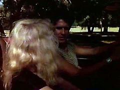 Funky stud drives car while horny blondie joyfully sucks his big dick