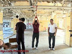 See three horny studs getting tied up and blindfolded before it's time for their three cocks to be sucked at the same time by a vicious dude.