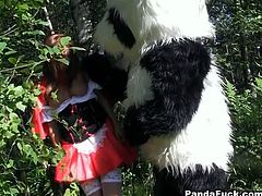 Frantic beauty wearing red hood meets cocky guy in panda costume in dark forest. She has nothing to do but to suck guy's huge dick.