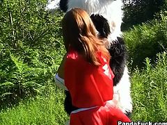 Frantic beauty wearing red hood meets cocky guy in panda costume in dark forest. She has nothing to do but to suck guy's huge dick.