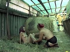 Instead of collecting eggs and feeding the pigs like cook farm Babas a supposed to do, these granny dykes decide to get really gross and nasty and roll around in the hay. There's plenty of fingering and fucking going on between these two old cunts.