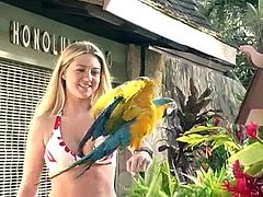 Captivating blonde Alison Angel wearing a bikini is getting naughty in the yard. She moves her body seductively in front of the camera and her fantastic cleavage can be seen.