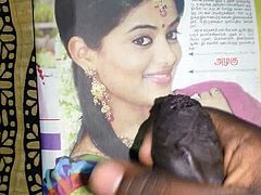 Hot Cum Tribute to Indian Actress Tamil Actress Priyamani