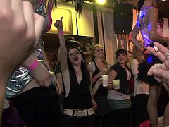 Damn, what a wild porn video this is! Some lusty ones are going to rock out the party! They love showing what they got in there.