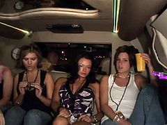 These chicks are heading to enjoy some time in the club. They rent a lemo and now they are riding downtown and what happens inside the car is here.