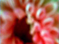 This salacious gal just loves to fuck. Seriously, she is a sex freak. Horny dude pounds her twat mercilessly in and out loosening up her once tight hole. Make sure you don't miss this passionate sex video.