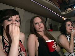 These babes know how to party. They drink in a limousine and have a great time together. They get so horny that start to undress to show their beauties.