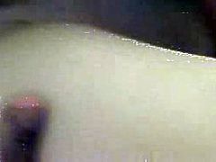 Porn Star 16