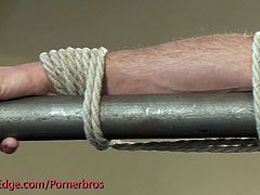 After some serious whipping and being tied up in uncomfortable positions, this gay dude finally gets a handjob.