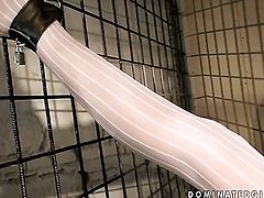 Blonde Winnie loves the way her sex partner moves his rod up and down inside her muff