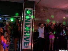 Drunk Sex Orgy brings you a hell of a free porn video where you can see how these nasty party chicks fuck during a wild club orgy that they will not forget anytime soon.