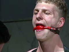 Watch as the gay slave is bound and tied in the bathroom by the master. He has a big dildo shoved into his ass, and the master takes an electric prod and shocks the slave's cock. The slave is gagged so yelling is useless.