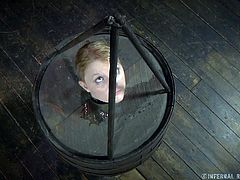 Not a single part of this slave's body is showing. Only her head is visible as it stick out of a hole in the barrel that her master has locked her in. The cute slave has hooks put in her nose and pulled.