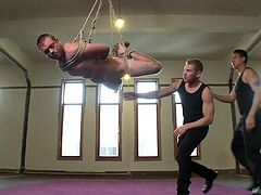 The gay masters have a gay slave in their trap. He is tied in rope and hanging from the ceiling. One of the masters sticks his cock down the slave's throat and the other slave sucks on the slave's meaty cock. The slave is tied to the bed and wanked off.