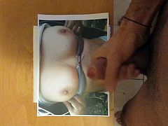 tribute 6