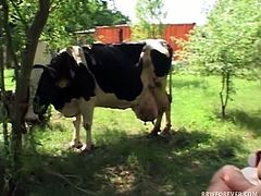 If nothing else, this ludicrous BBW sex video is sure to make you laugh!  Huge and pallid fatty Era is milking one of the cows - and she happens to be completely naked!  She takes one of the cows udders, squirting the milk all over her big natural tits.  She loves feeling that hot spurt on her bosom!  Just then, a curious half man, half cow hybrid enters the scene, shoving his fat cock into her mouth.  This is far better than a boring cow udder!  The man-cow screws the fat slut right there on the grass, pumping her full of hard dick in her sloppy vagina and making her moan.  She eventually tak