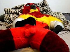 fursuit bird wanking