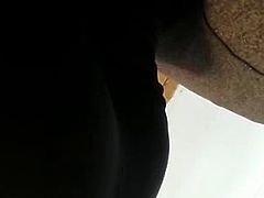 Pyt not my little sis friend google searching