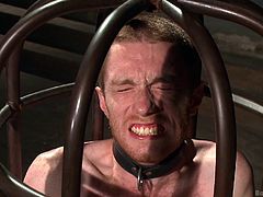 The master has his slave locked up in a very tiny cage. He has clamps put on his feet and on his ball sack. When the master lets Seamus out of his cage, it's only so he can get fucked. The slave crawls towards Christian and gets fucked in the ass.
